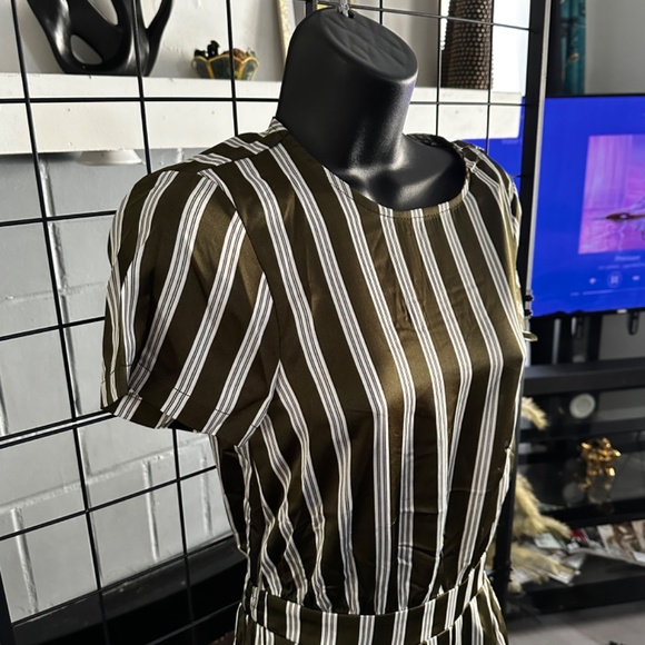 Olive/White Elastic Waist Band Pin Striped Jumpsuit - Picture 6 of 8